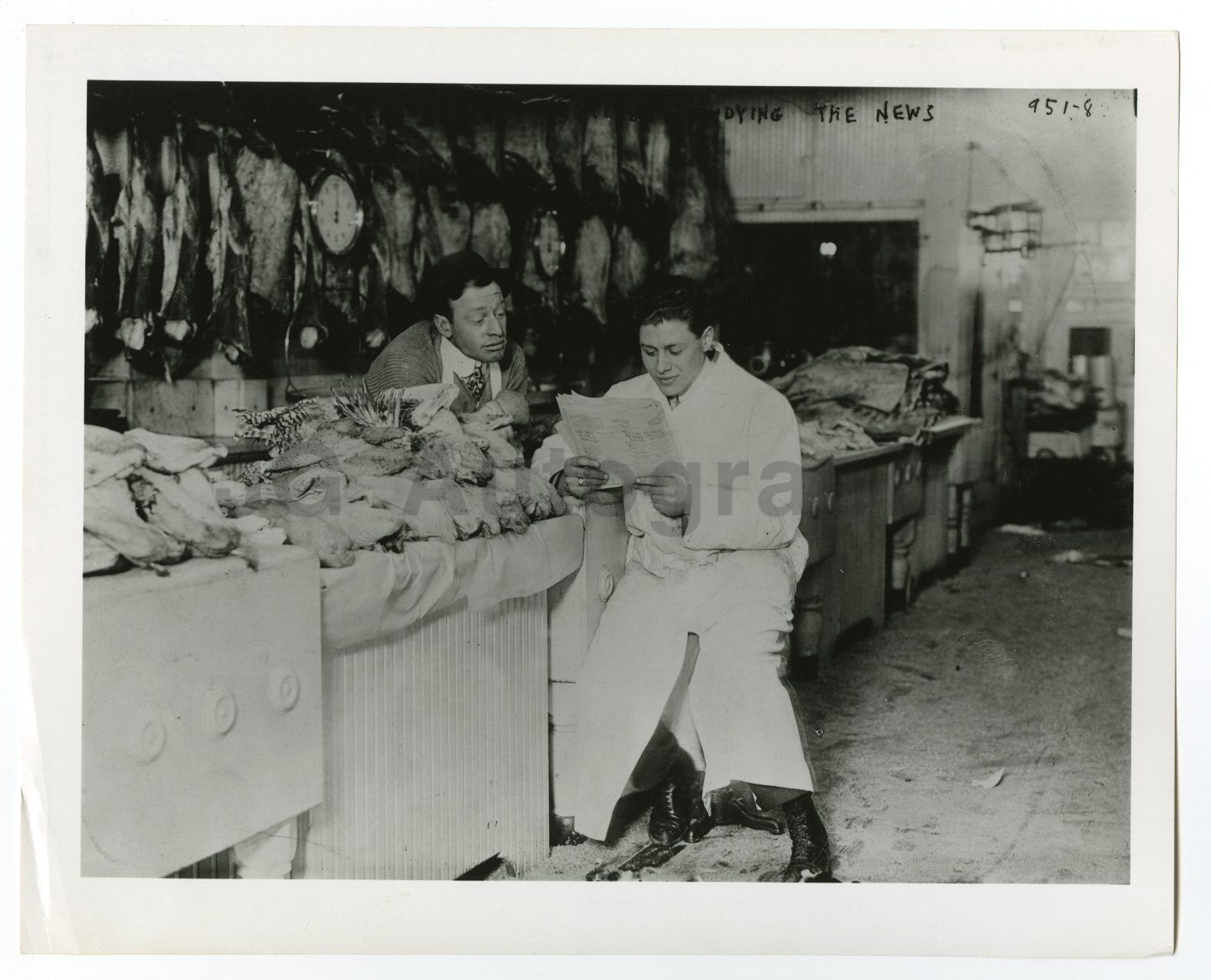 Vintage Poultry Market - Street Market - Vintage 8x10 Photo Poster paintinggraph