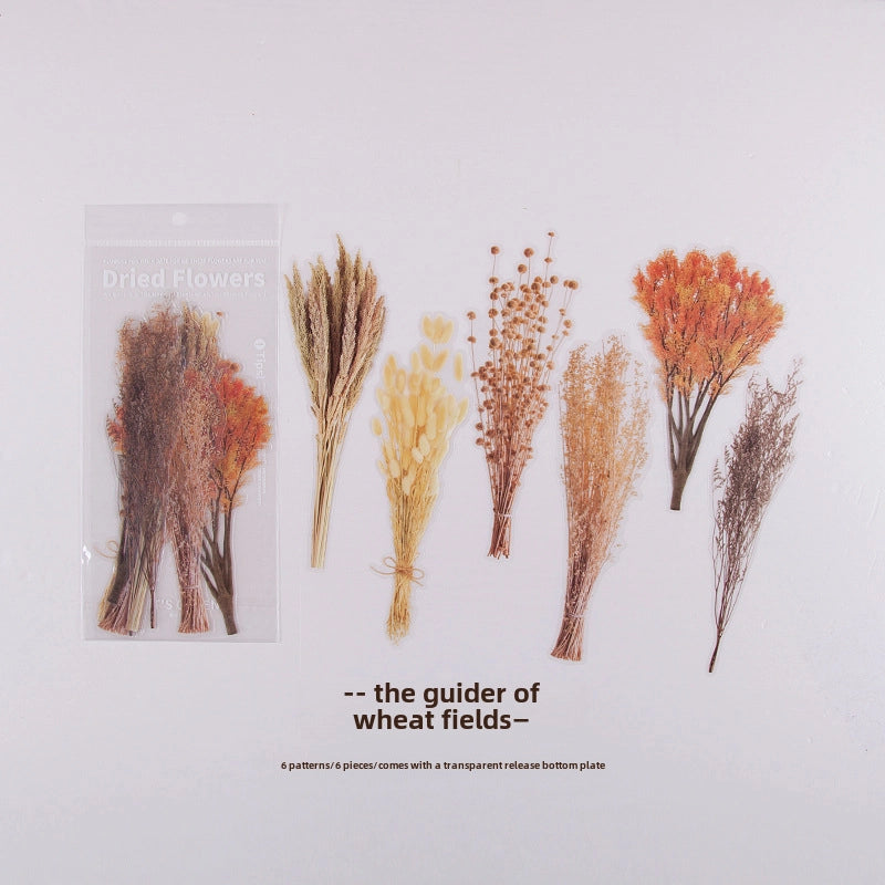 Women’s Mid-waist Pure Cotton Underpants Graphene Antibacterial Coating Ladies Briefs Comfortable Breathable Innerwear