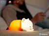 Pat Pat Bepo Night Lamp with LED - ONE PIECE Statue - HAPPY LIFE Studio