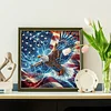 Diamond Painting-DIY Crystal Rhinestone Flag Eagle