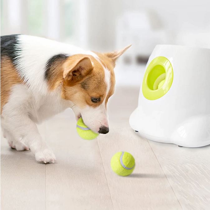 IPaw automatic tennis ball launcher thrower for dogs
