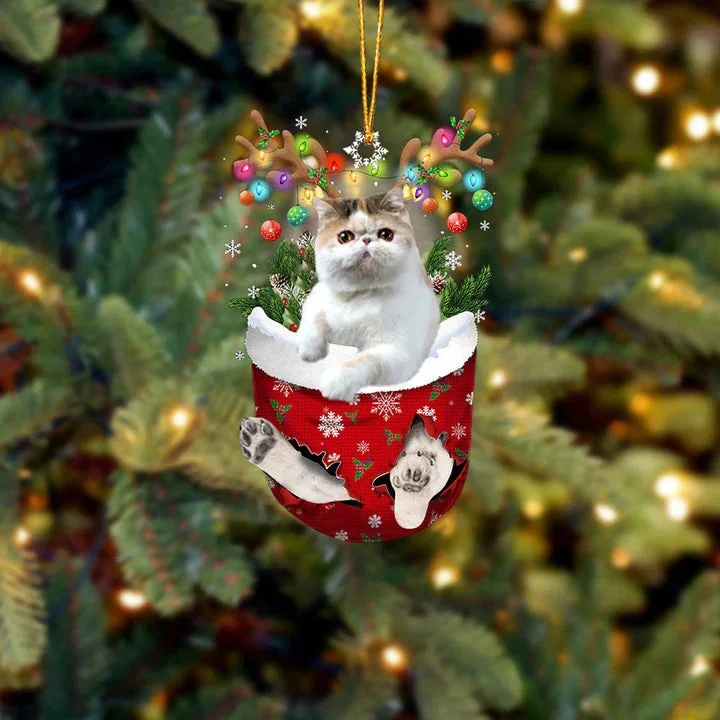 Exotic Shorthair Cat In Snow Pocket Christmas Ornament.