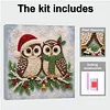 (20x20cm)Owl Xmas Pearl Painting Art Kits With Inner Frame Pearl Gem Paintings Picture Arts Craft for Adults Beginners Home Wall Decor