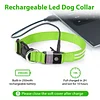 Pet LED Luminous Collar-Cattlan-Adracos