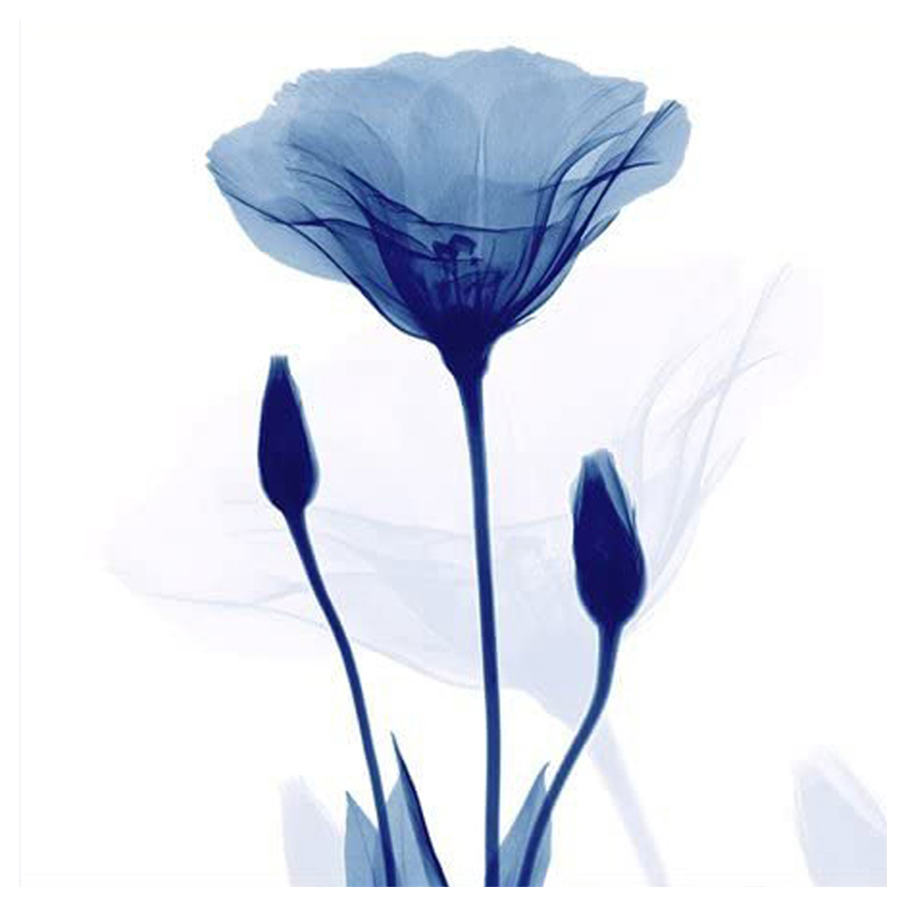 

Blue Flower - 11CT Stamped Cross Stitch - 40*40CM, 501 Original
