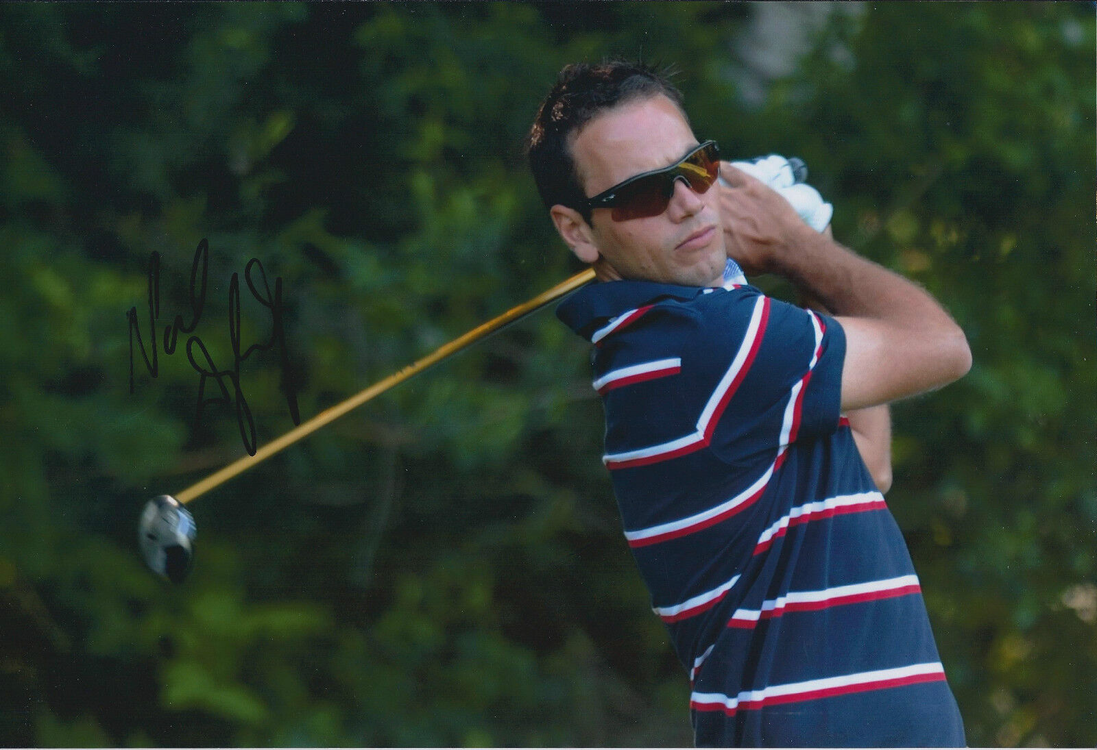 Nick DOUGHERTY SIGNED 12x8 Photo Poster painting AFTAL Autograph COA World Boys Amateur WINNER