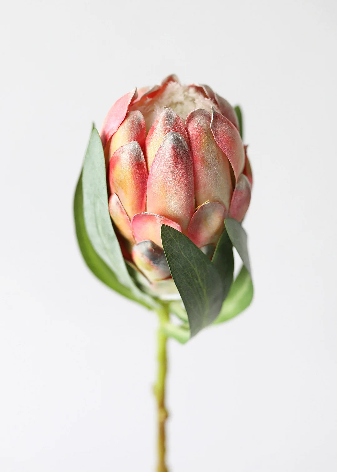 Faux Protea Flower in Coral Yellow - 18.5"