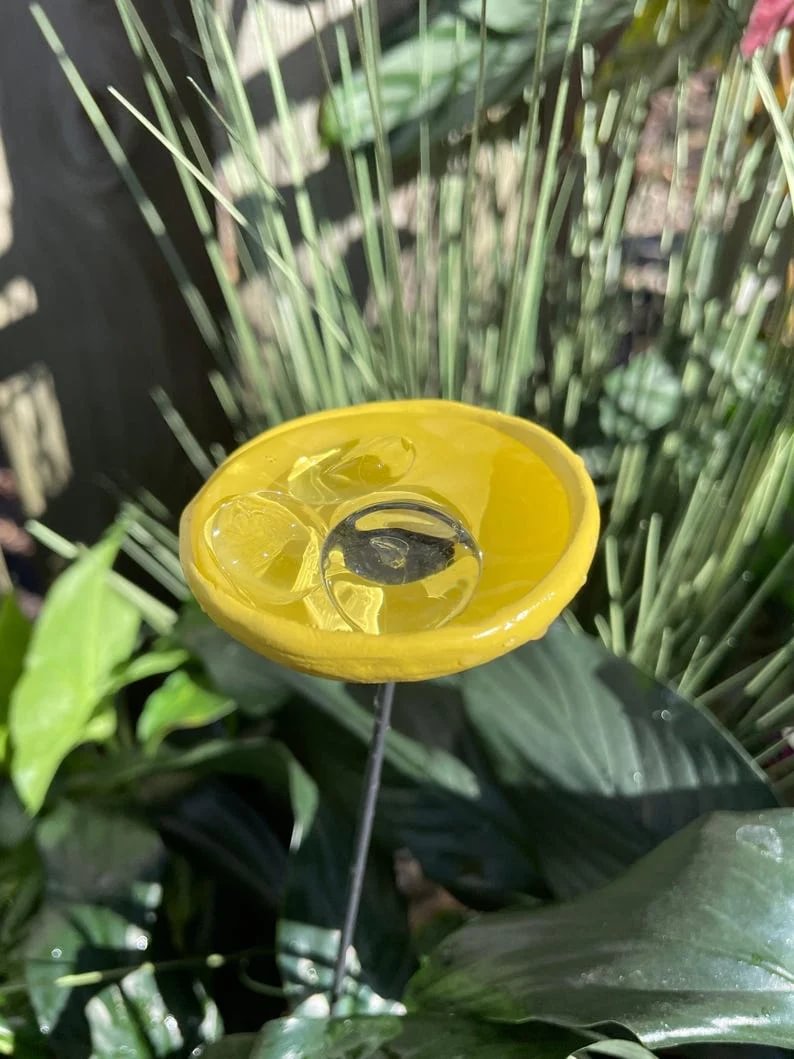 🎖️July 4th Flash Sale: 50% OFF Sitewide! 🐝Bee Watering Station,🦋Butterfly Puddler,Hummingbird Drinking Cups