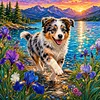 Diamond Painting -5D Full Round Drill Australian Shepherd Puppy(40x40cm)