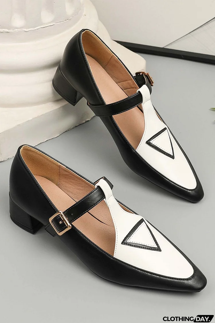 Contrast Pointed Toe Mary Jane Shoes