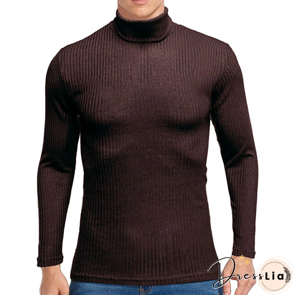 Men's Solid Casual Long Sleeve Turtleneck Sweater