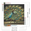 Pfauenmädchen - Rundbohrer Diamantmalerei - 40*40cm