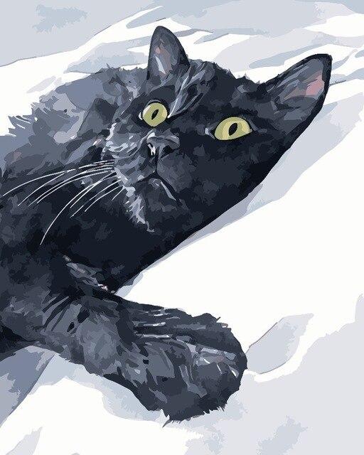 

Black Cat In Snow – Paint By Numbers - 40*50CM, 501 Original