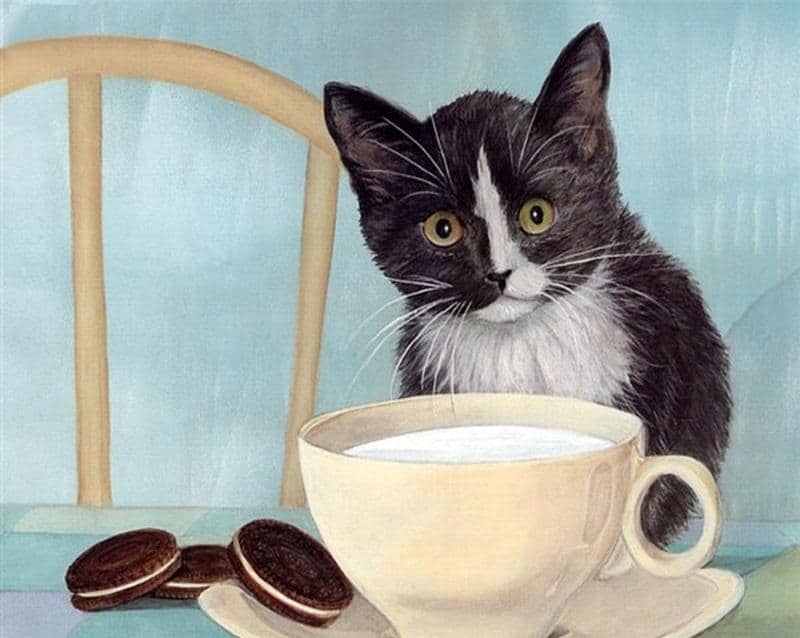 

Milk Cat – Paint By Numbers - 40*50CM, 501 Original