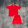 2026 Kids Wales Soccer Jersey Home