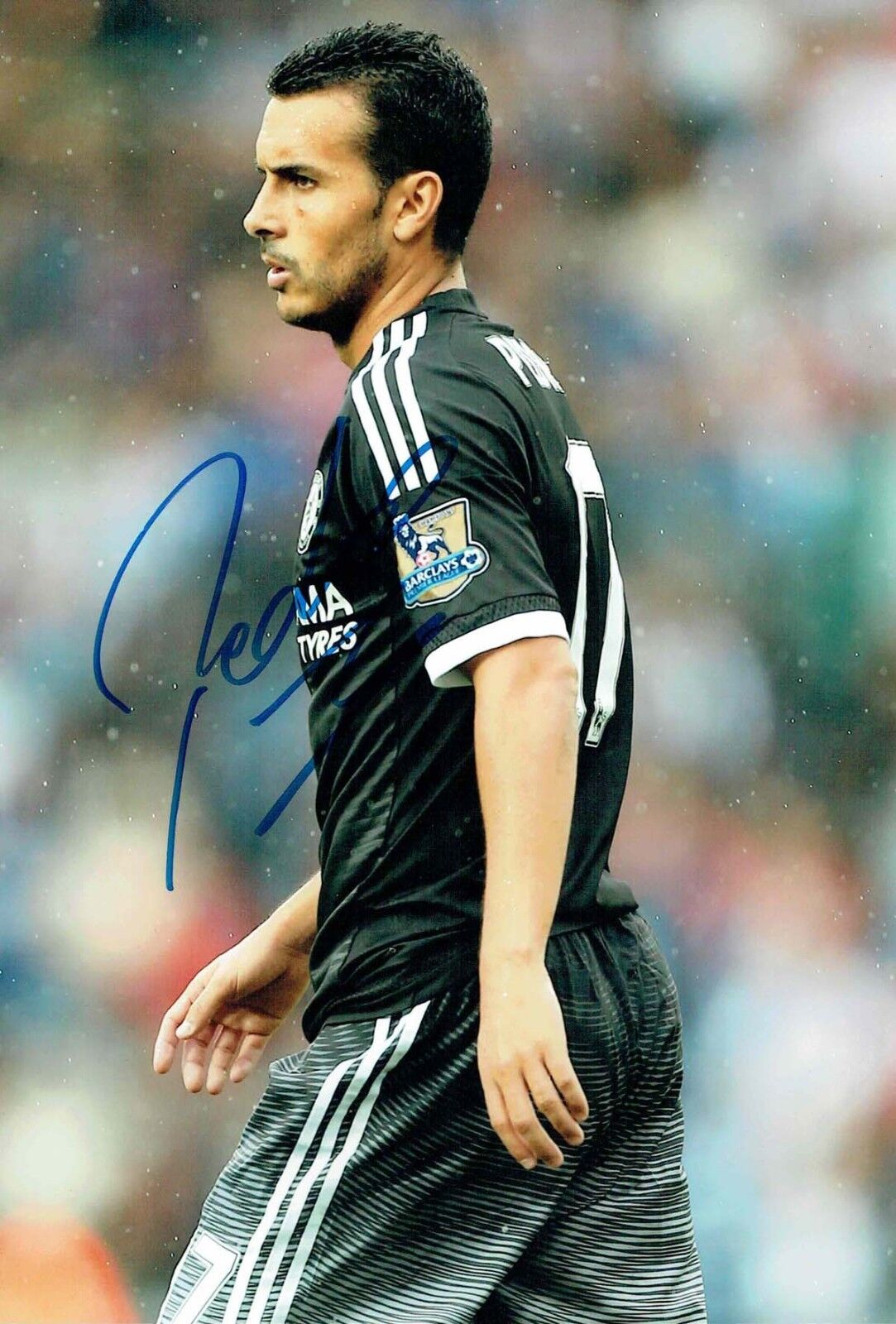 PEDRO new Signed Autograph 12x8 Photo Poster painting 2 AFTAL COA Chelsea Premier League