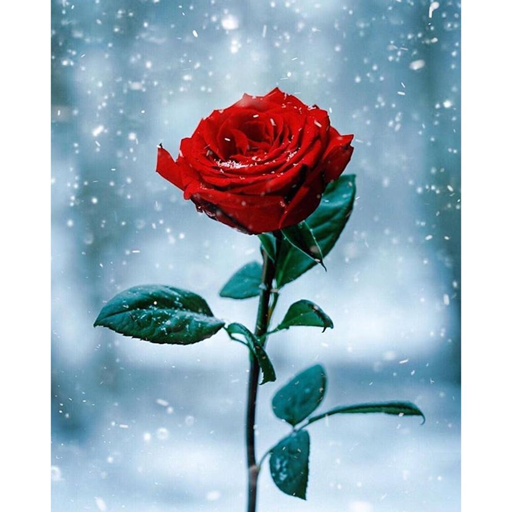 

Blossoming Rose - Round Drill Diamond Painting - 30x40cm, 501 Original