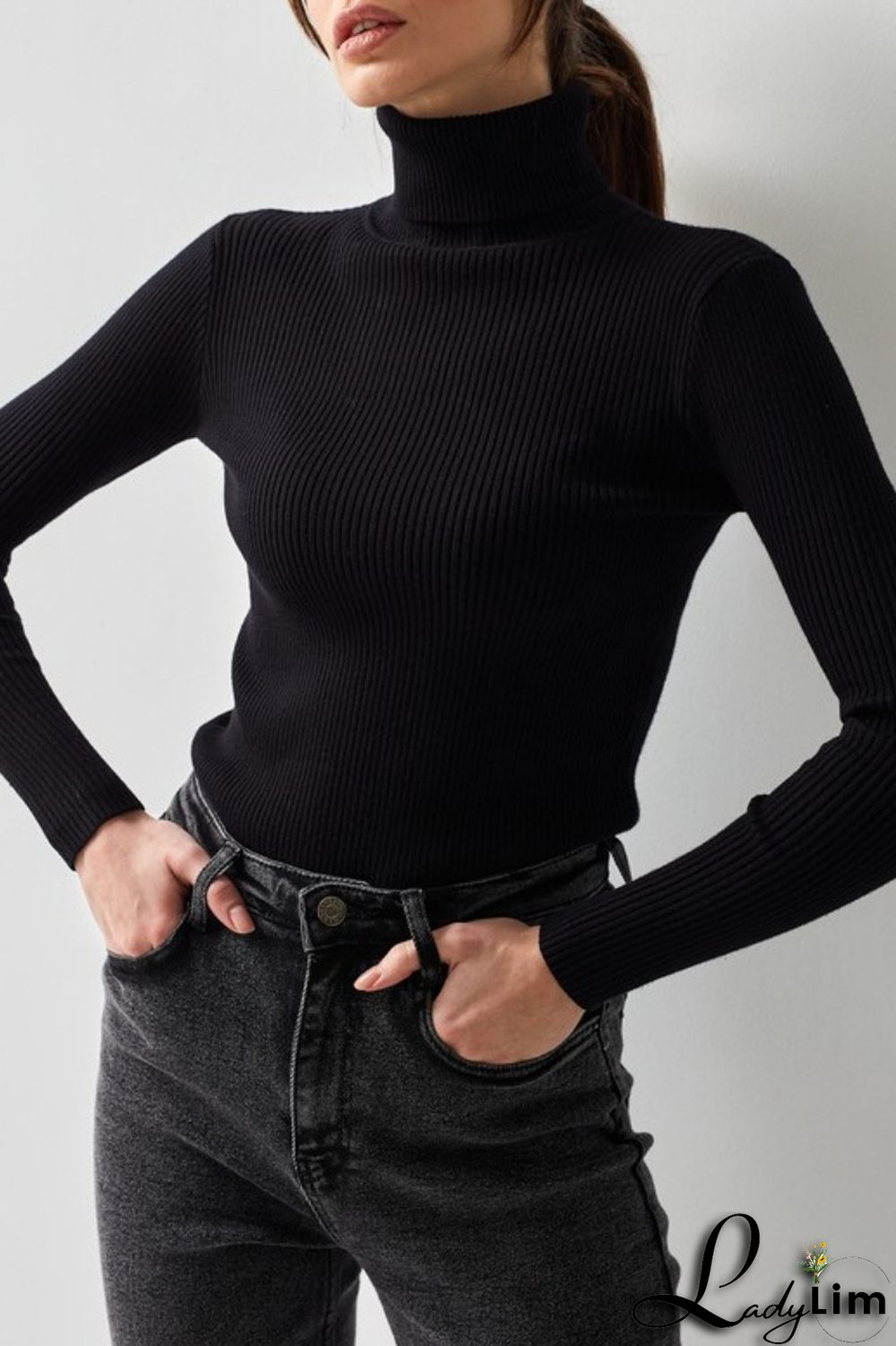 Black Casual Solid Basic Turtleneck Tops