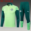 2024/2025 Palmeiras Half-Pull Training Suit Green Football Shirt 1:1 Thai Quality
