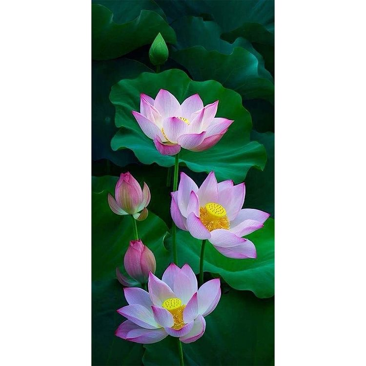 Peinture au diamant - rond complet - lotus en fleurs (40 * 80cm)