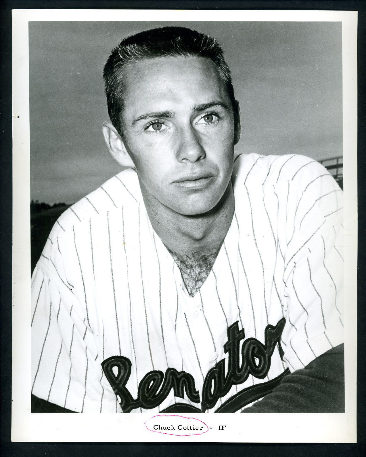 Chuck Cottier 1963 Team Issued Press Original Photo Poster painting Washington Senators