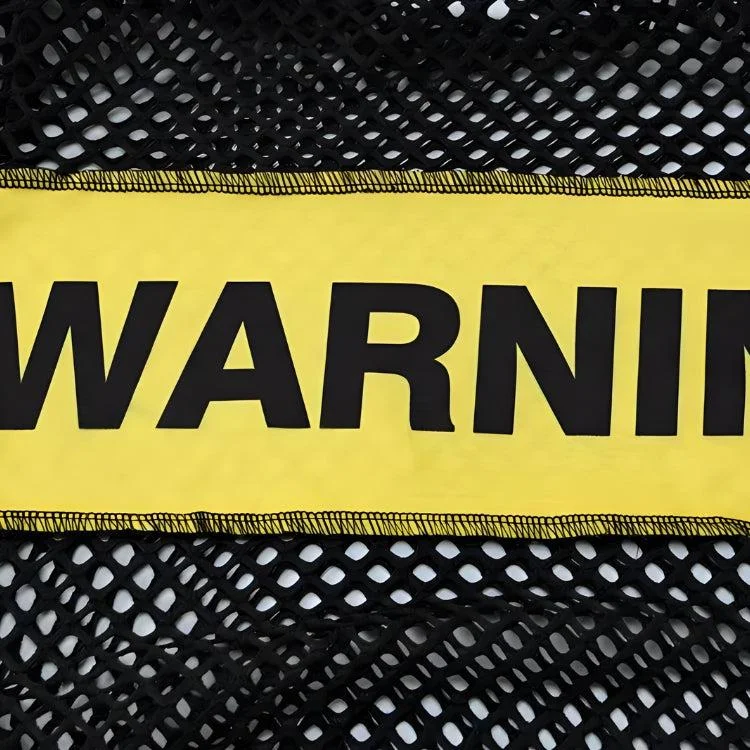 Brownm Warning Fishnet Mini Dress