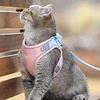Cat Vest And Belt Kit Pet Traction Rope