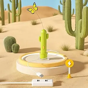 Interactive Cat Toy Solution
