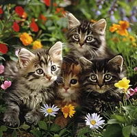 Kittens Playing in Garden - Diamond Painting