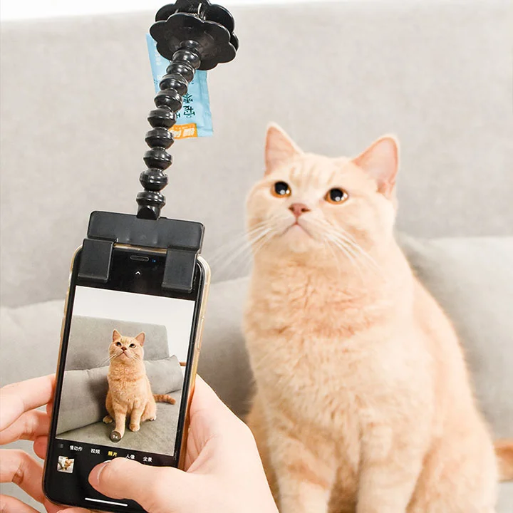 Waltleather Pet Photography Aids-Attaches To Your Phone For Perfect Pictures of Your Pet