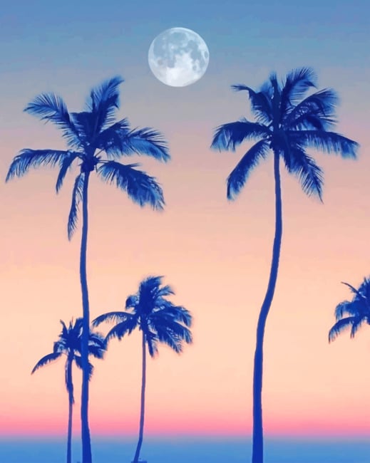 

Palm Trees With Moon – Paint By Numbers - 40*50CM, 501 Original