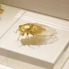 Purely Handmade Solid Copper Gold-plated Cicada Ornaments Collection Art