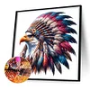 5D DIY Full Square Drill Diamond Painting Indian Eagle Kit Home Decor 35x35cm