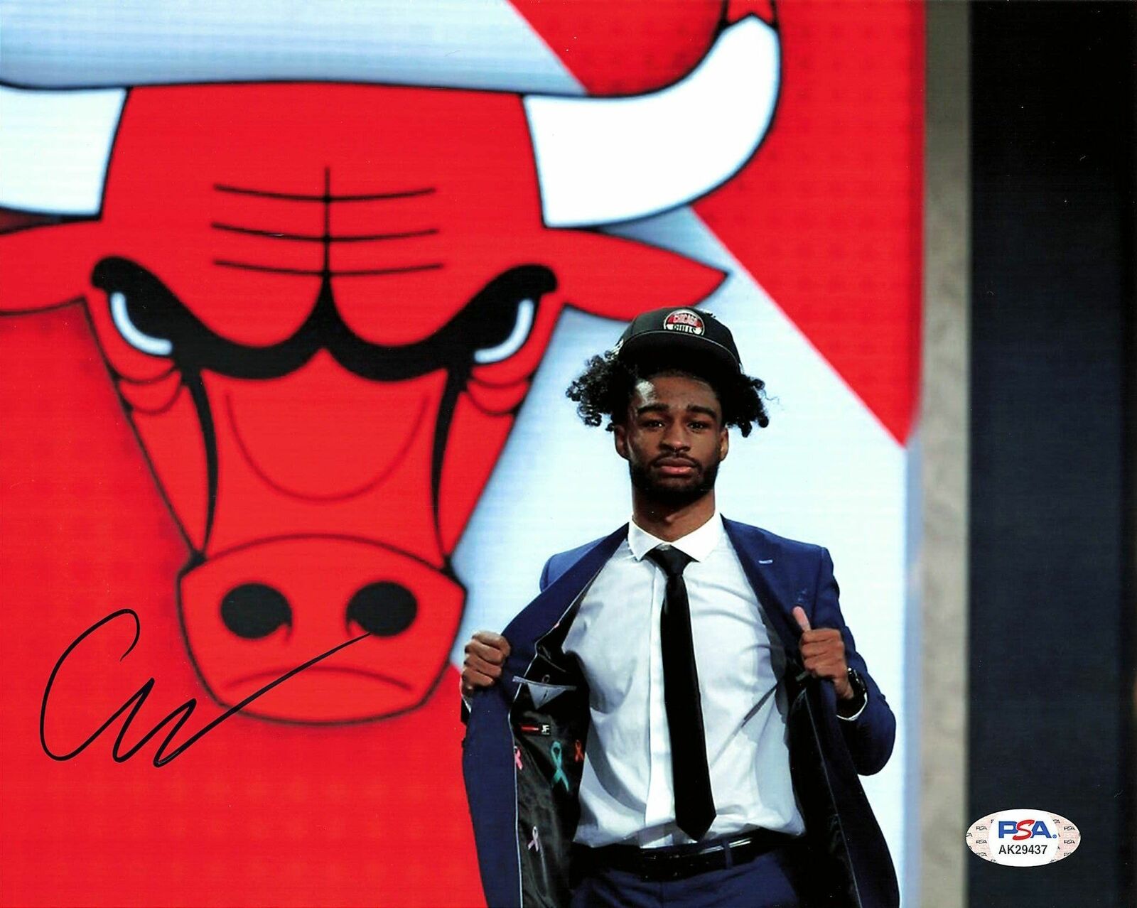 Coby White Signed 8x10 Photo Poster painting PSA/DNA Chicago Bulls Autographed