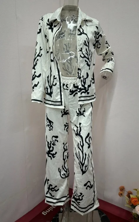 Toloer Toloer 2024 New Women's Fashion Print Jacket Acks Two-Piece Set-Outfit Ideas