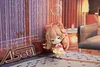 Hang On Series A-Soul Diana Ornaments - VTuber - Myethos Studios