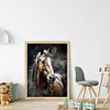 Watercolor Horse-11CT Stamped Cross Stitch 40*53cm