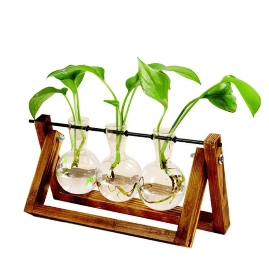 Creative Hydroponic Plant Transparent Wooden Frame Vase
