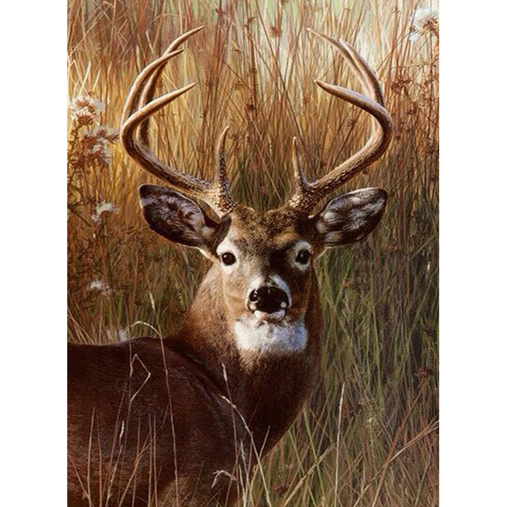 

(Multi-Size) Deer Head - Round/Square Drill Diamond Painting 30*40CM/40*50CM, Square diamond 30*40cm, 501 Original