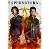 Supernatural-11CT Stamped Cross Stitch 40*60cm tapestrymarket