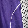 2025/2026 Player Version Liverpool Purple Shorts 1:1 Thai Quality