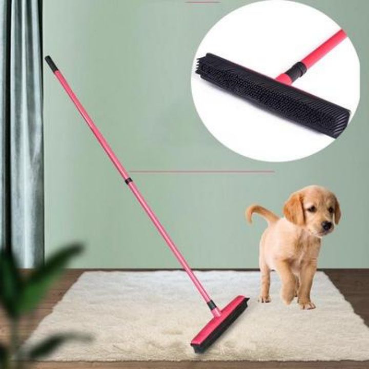 PET HAIR BROOM