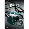 NFL Philadelphia Eagles Football-11CT Stamped Cross Stitch 35*55cm tapestrymarket