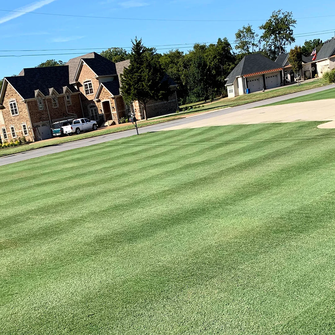 Yukon Bermuda Grass Seed