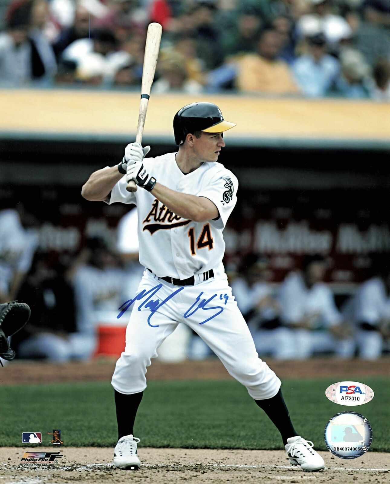 MARK ELLIS signed 8x10 Photo Poster painting PSA/DNA Oakland Athletics Autographed