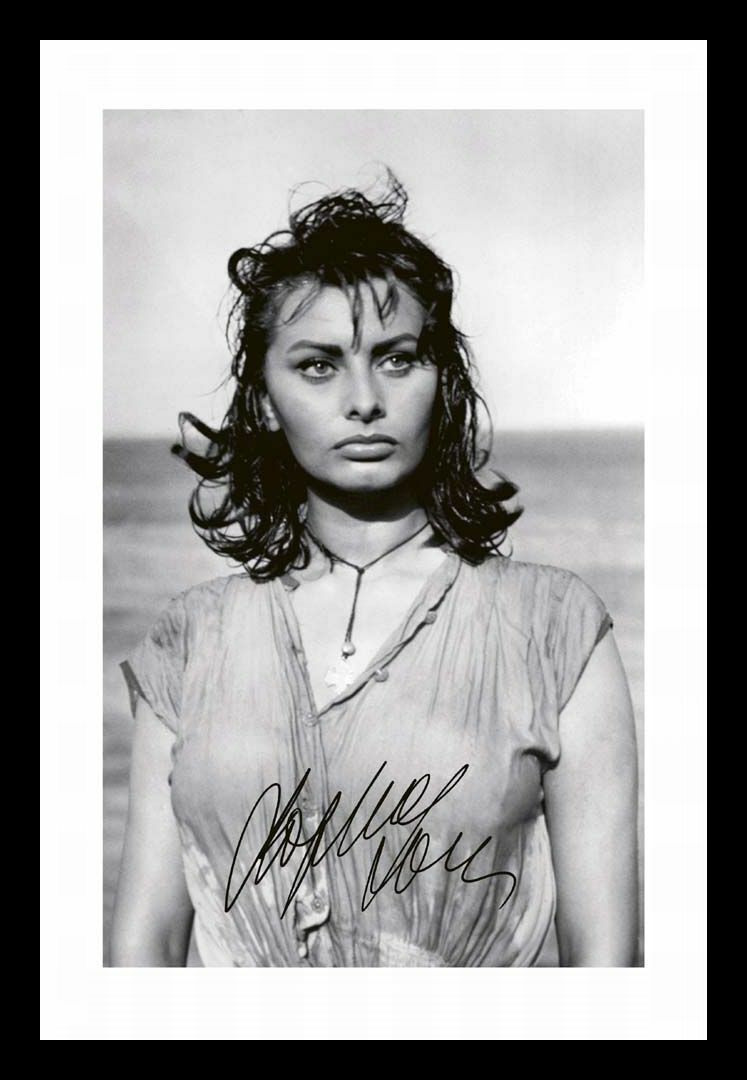 Sophia Loren Autograph Signed & Framed Photo Poster painting