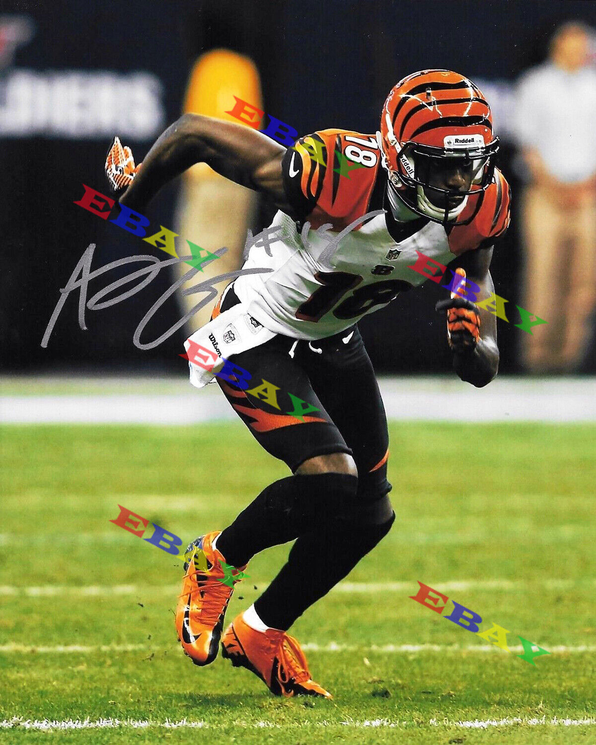 AJ Green Bengals Autographed Signed 8x10 Photo Poster painting Reprint