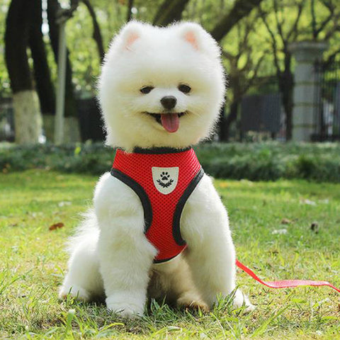 Comfortable reflective dog collar