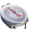 Fish Scales with 2 Hooks Mechanical Pointer Hook Scale Practical Handheld Scale