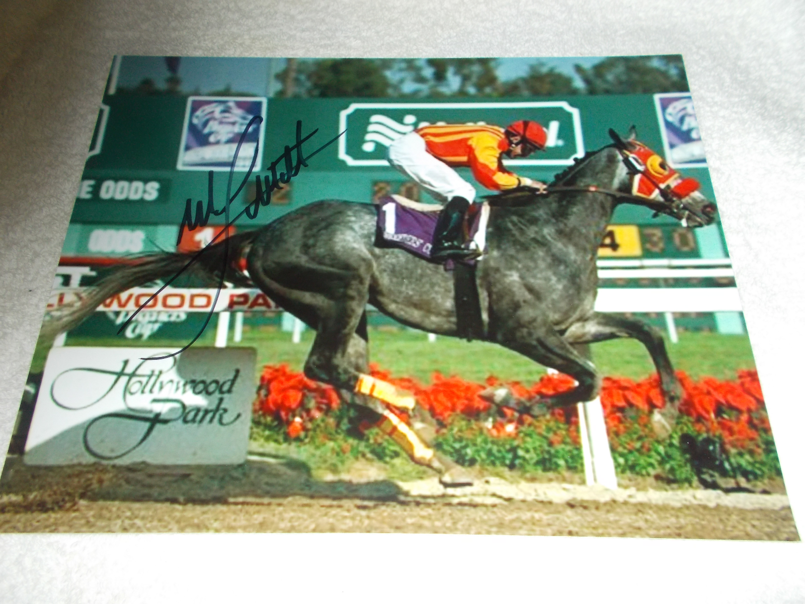 MIKE SMITH SKIP AWAY 1997 BREEDER'S CUP CLASSIC SIGNED 8x10 HORSE RACING Photo Poster painting